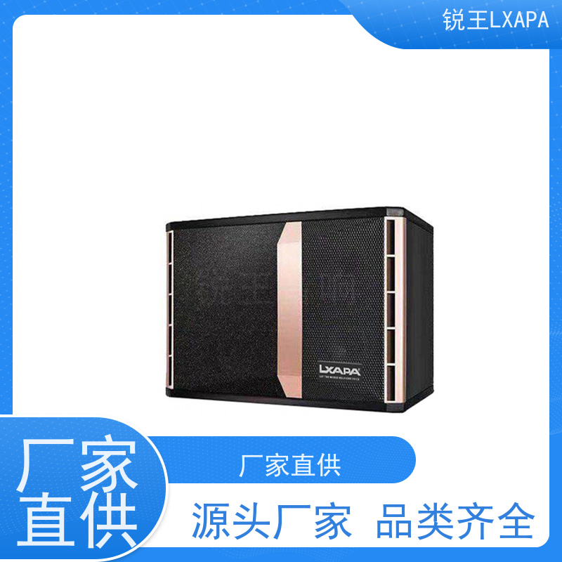 KV1001专业卡包音箱 背景音乐KTV会议音响 舞台演出卡包音响
