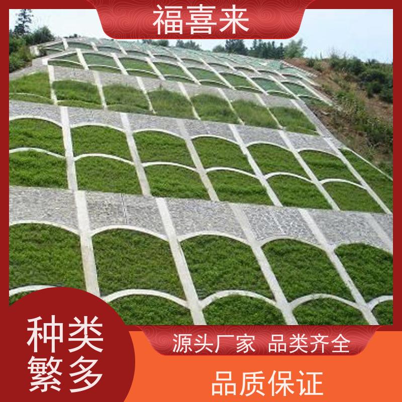 福喜来苗圃 草皮批发 道路园区绿化用 草坪基地直发