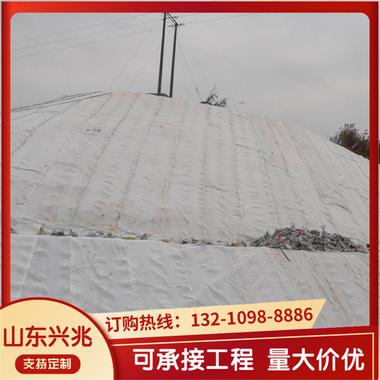 公路铁路隧道过滤用 垃圾填埋场用 三维复合排水网 按需定制