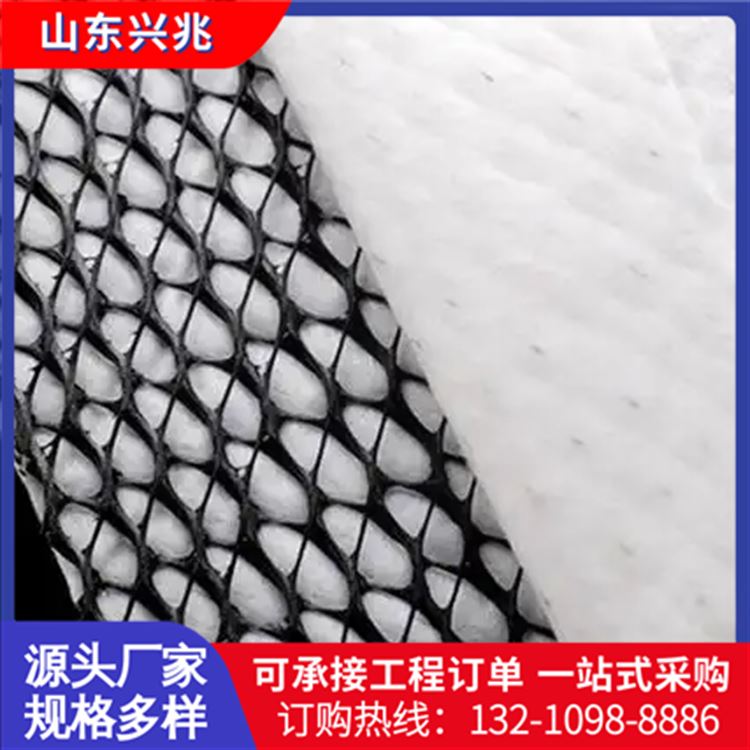 垃圾填埋场反滤用三肋排水网 5mm厚网芯 隧道用排水网垫