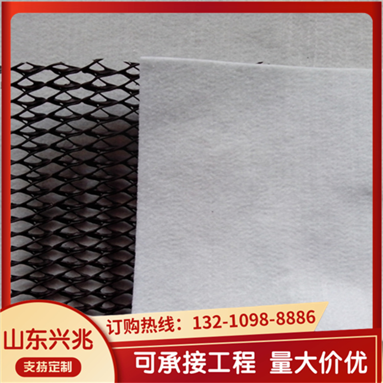 兴兆环境 复合排水网 7mm 隔离与加固作用 矿业尾矿渣库