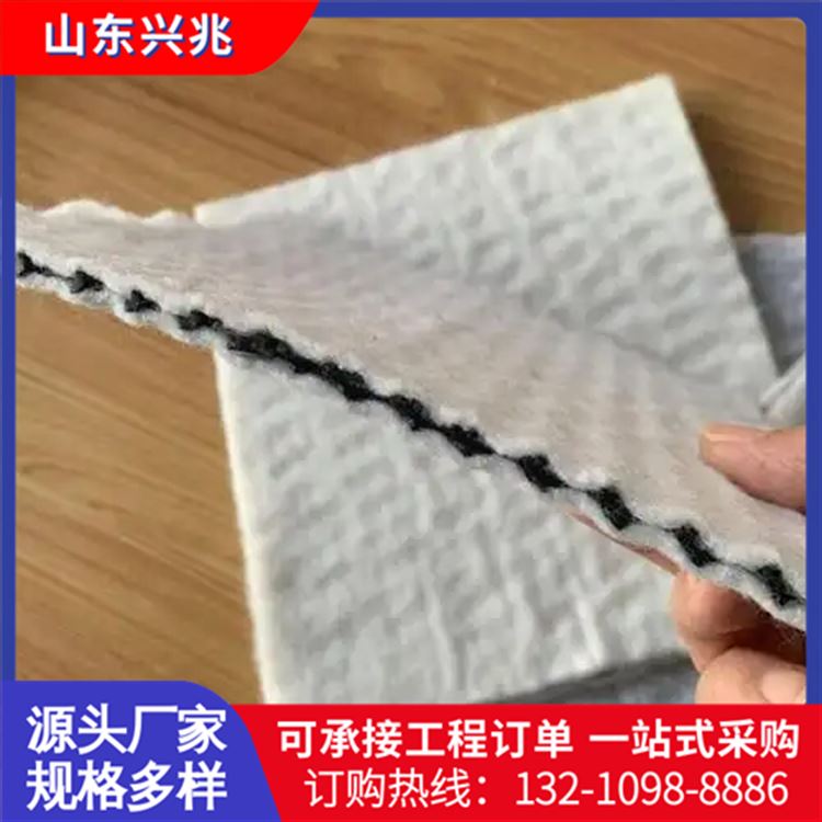 PFF整体式复合反滤层挡土墙滤芯 聚丙烯渗排水网垫