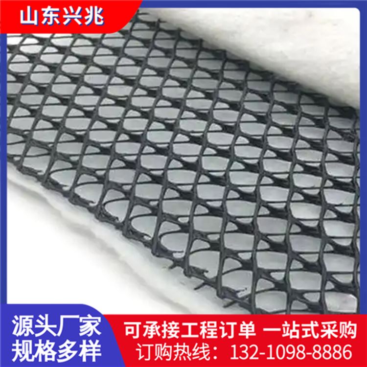 6mm厚三维复合排水网 路基排水用聚乙烯排水网垫 3m可定制