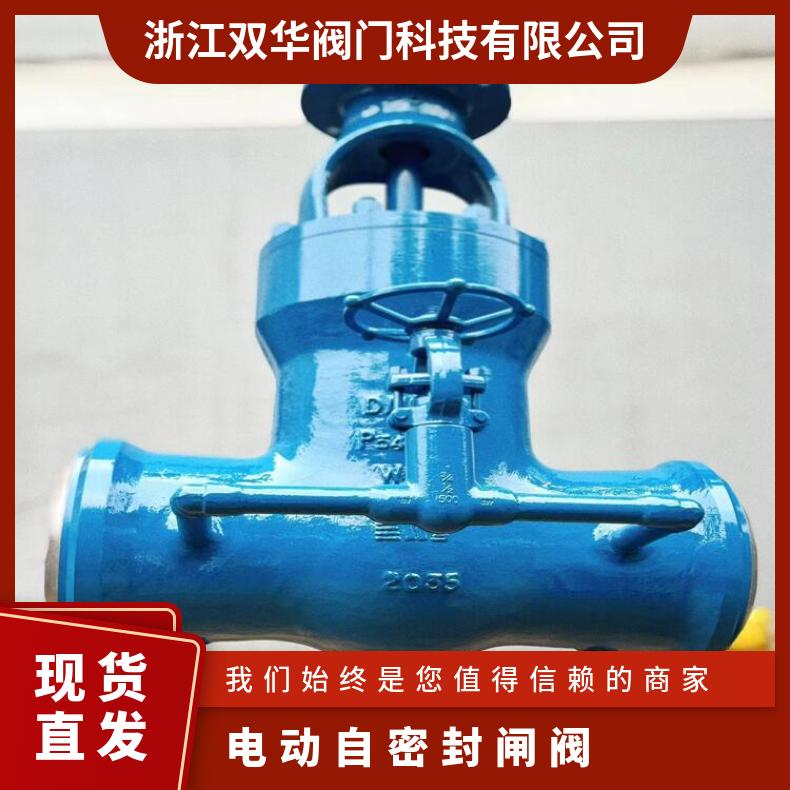 电动高压阀门自密封焊接带旁通闸阀Z961Y 双华厂家支持定制