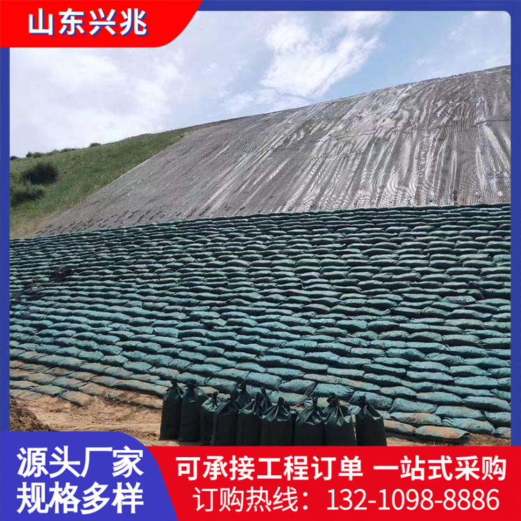 河道边坡防护绿化袋 白色长丝生态袋 抗洪防紫外线 连接扣护坡草籽袋