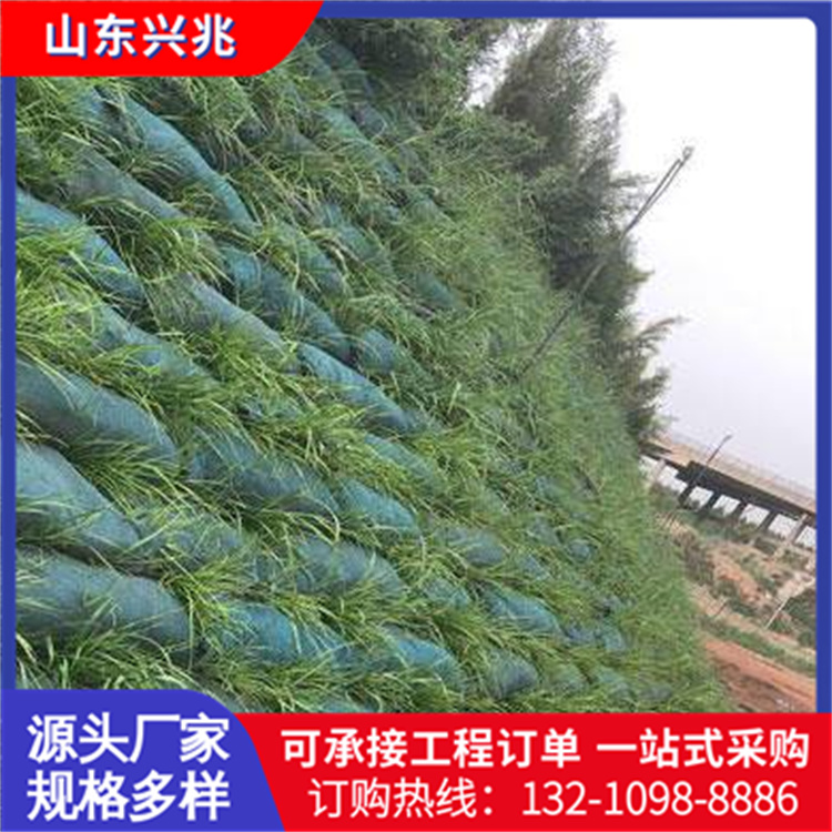 土工袋 荣通供应 山体沙漠矿山复绿生态袋 120g聚丙烯绿色植草袋