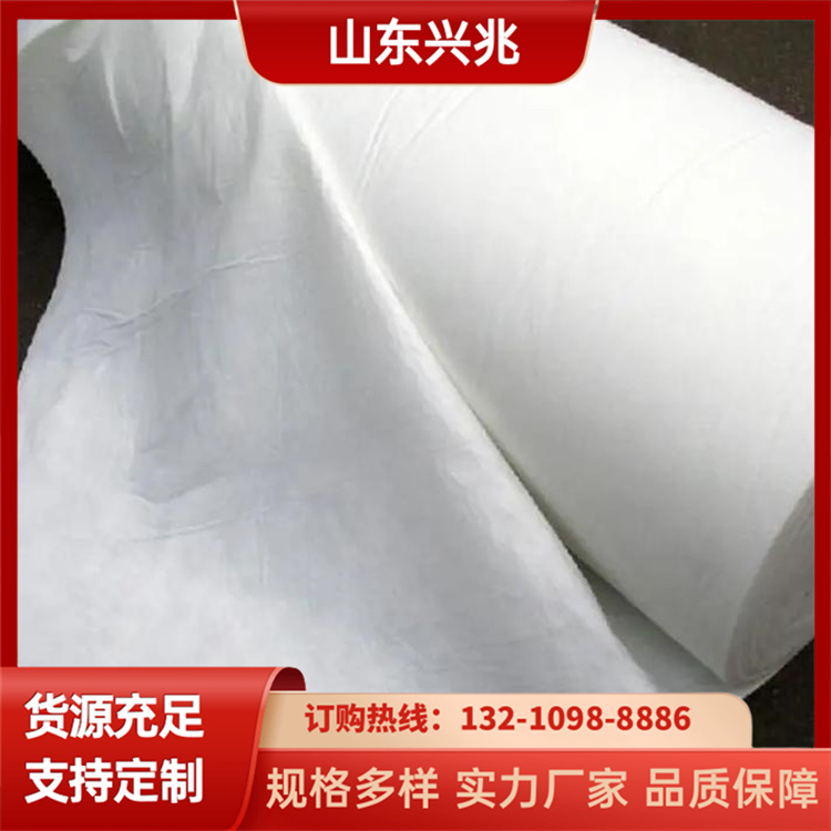 兴兆环境 长丝土工布 地毯防水水库堤坝 耐腐蚀 送货上门 全国供应