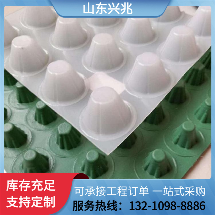 虹吸排水系统 ped14高分子排水异型片 塑料蓄水 排水板