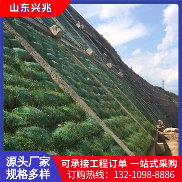 生态袋植生袋厂家 边坡公路河道防汛挡土绿化护坡带草籽土工布袋