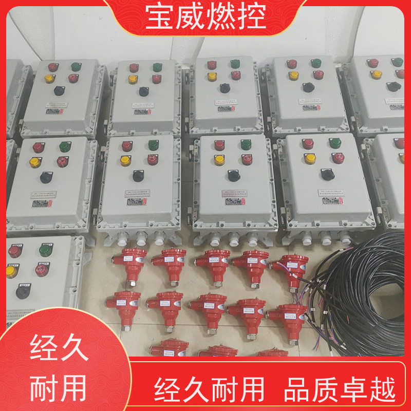 宝威燃控 点火炉 熄火保护报警装置 紫外线型 非标定制