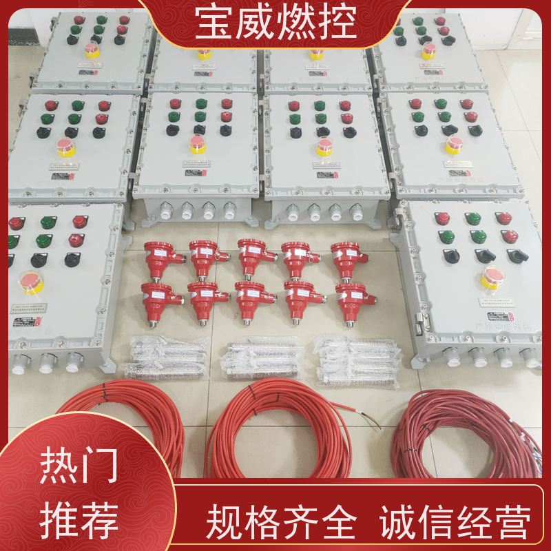 宝威燃控 水套炉 火焰检测熄火保护装置 生产厂家
