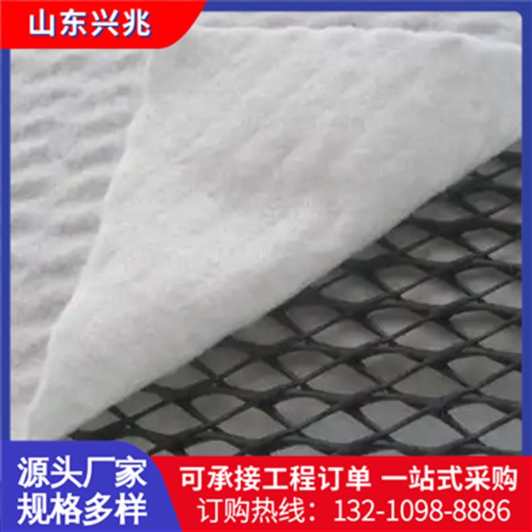 三维复合排水网 垃圾填埋公路防渗HDPE现货隧道护坡水库