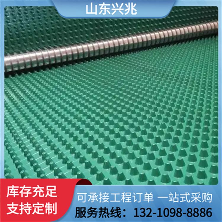 塑料防水排水板 黑色10mm厚屋顶绿化地下室顶板排水 可定制 兴兆环境