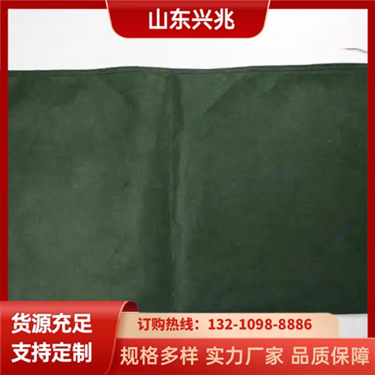 兴兆公司河道绿化120克草籽袋 园林景观矿山修复40*80护坡生态袋