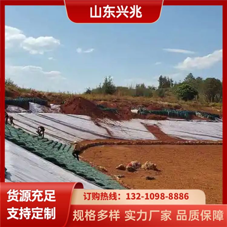 绿色护坡生态袋 结实耐用 耐腐蚀 抗潮防湿 不易变形
