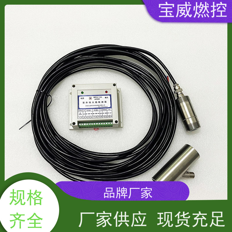宝威燃控 高灵敏度 天然气冶炼炉火焰检测器BWFZJ-13K