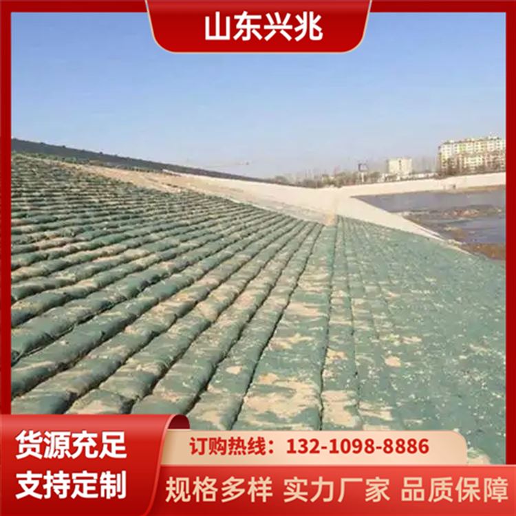 生态袋 河道绿化护坡土工袋 绿色40*60草籽植生袋