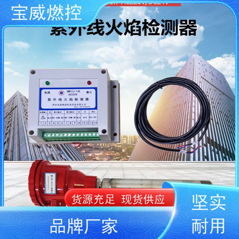 宝威燃控 开关量+模拟量信号 裂解炉/焚烧炉火焰检测器 生产厂家