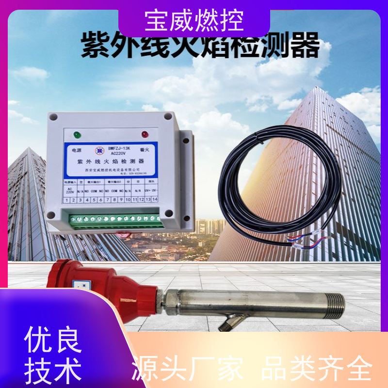 宝威燃控 双路开关量信号 裂解炉/焚烧炉火焰检测器 快速发货
