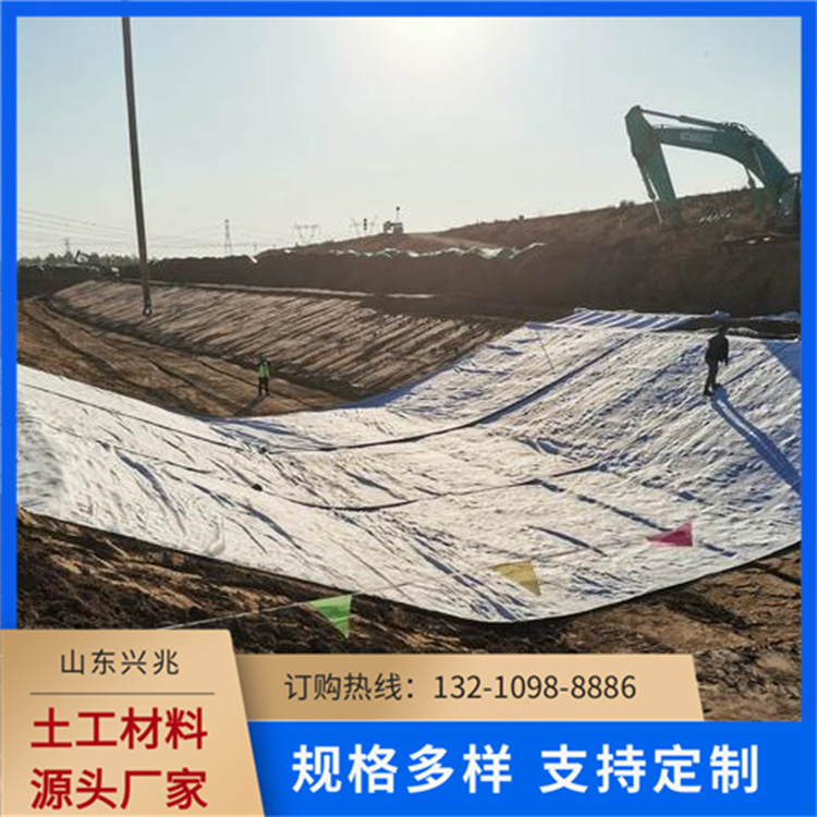 兴兆环境 防水毯 源头厂家更优惠 景观湖护坡防渗垃圾填埋场膨润土