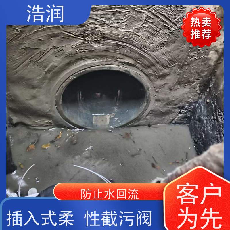 浩润 内置防倒灌器 雨污分流 智能截流 品质可信