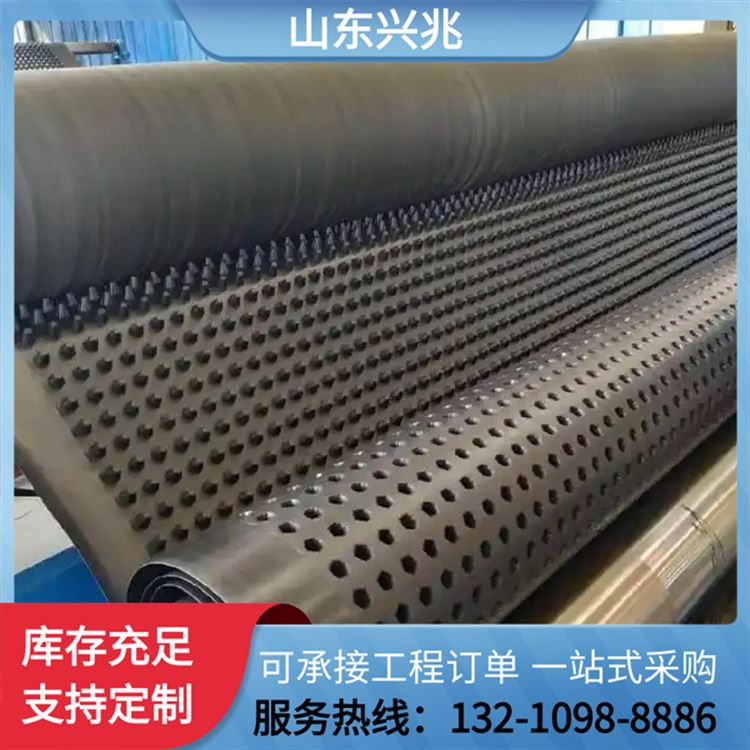 高分子防护排水板 施工方便 防水性能好 耐酸碱 防渗水