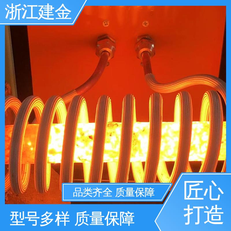 建金科技新型 高频炉设备 标准件加工 容易操作