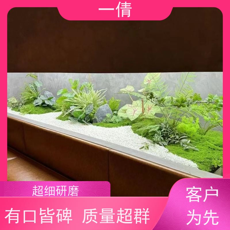 一倩花卉 70盆四季桔 绿植租赁出售 种类繁多 规格齐全