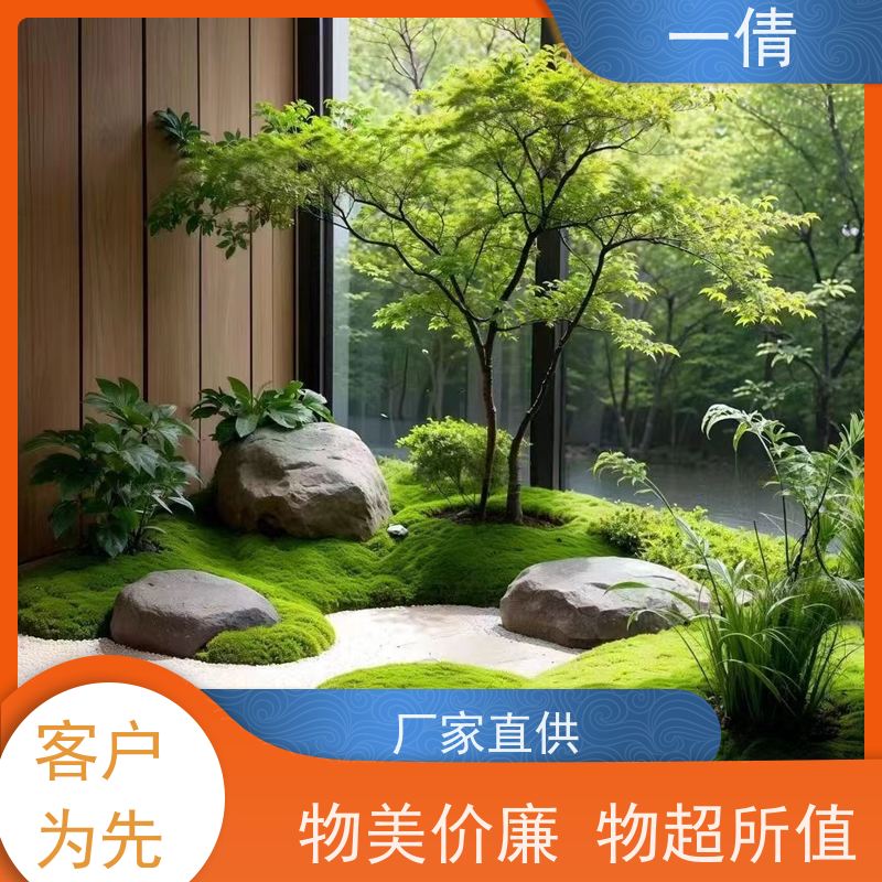 一倩花卉 10层黄金果 绿植租赁出售 种类繁多 规格齐全