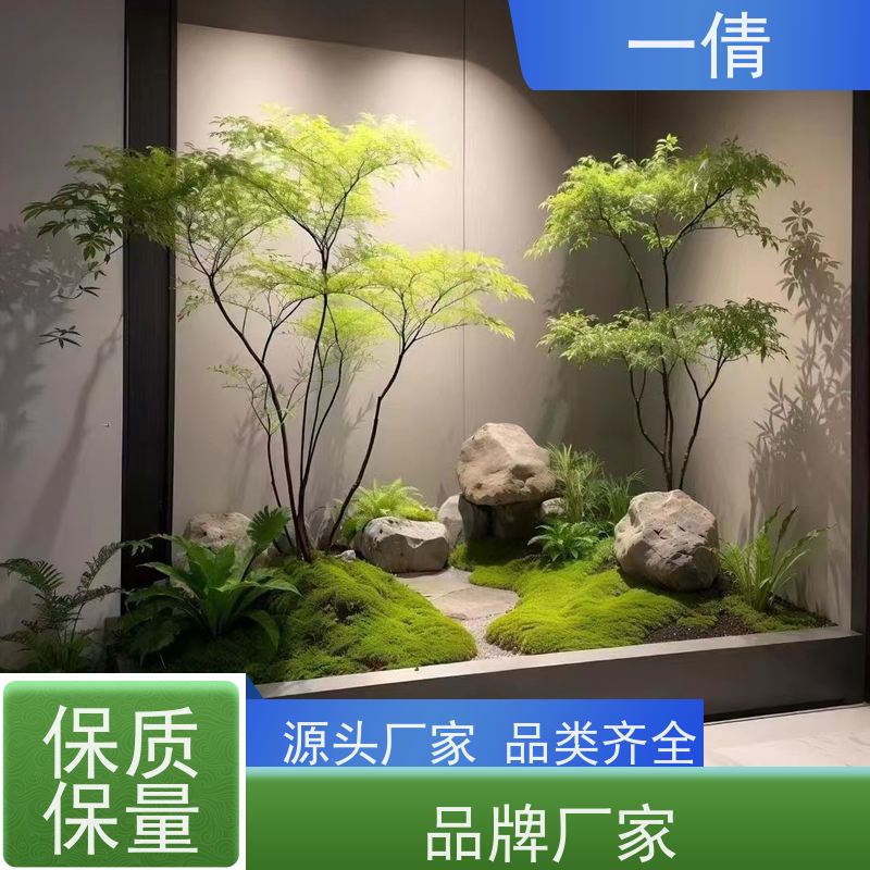 一倩花卉 蓝宝石 绿植租赁出售 种类繁多 规格齐全