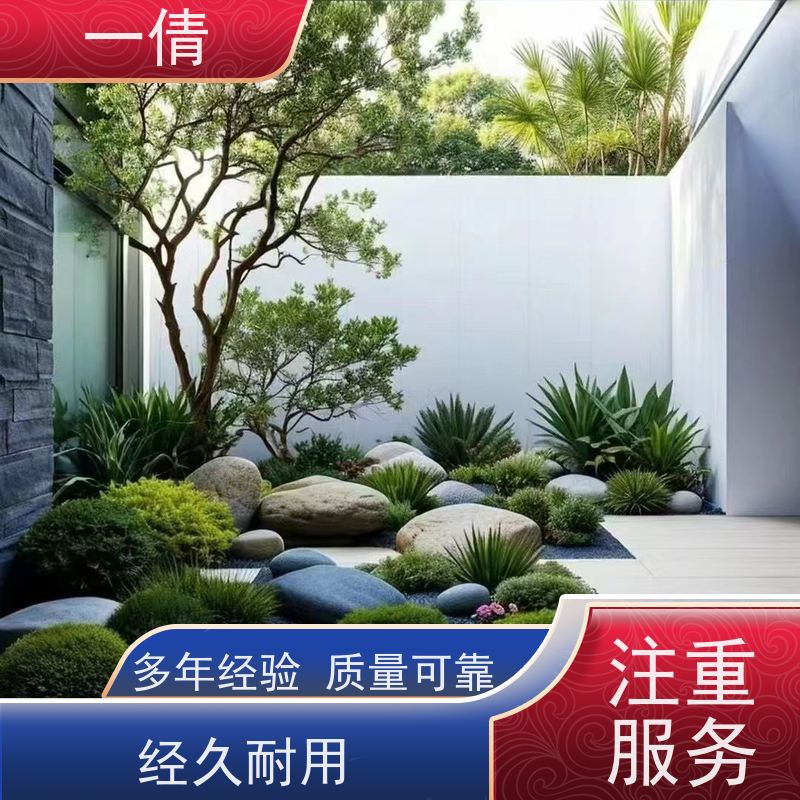 一倩花卉 冬青 绿植租赁出售 种类繁多 规格齐全