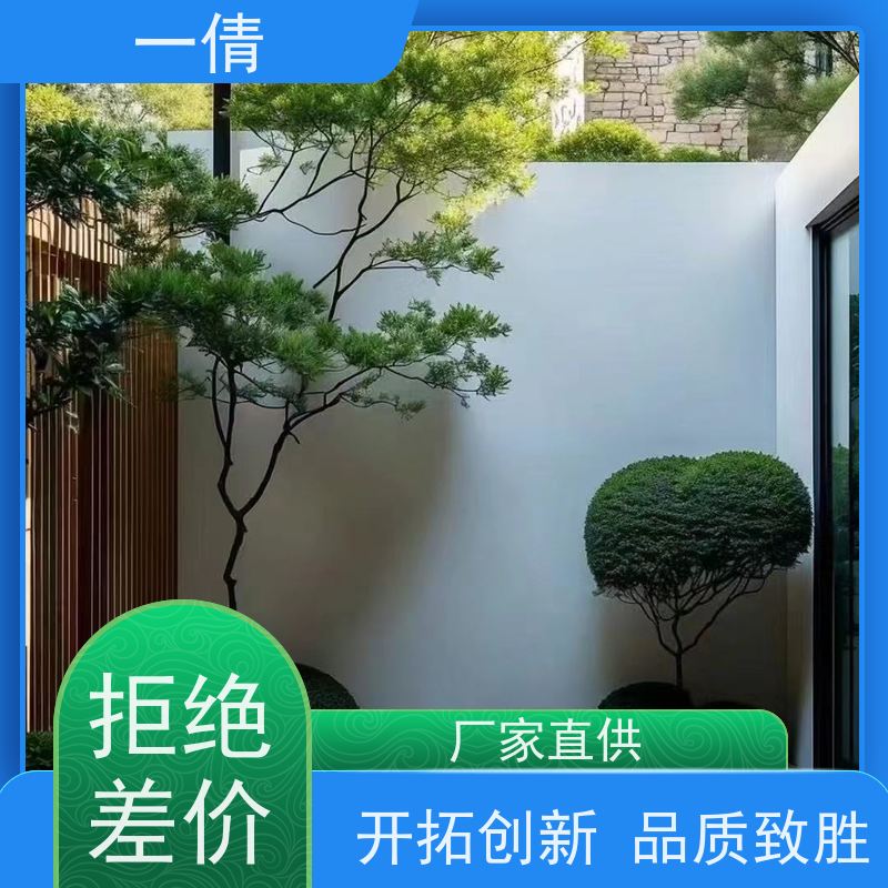 一倩花卉 吉利红 绿植租赁出售 种类繁多 规格齐全