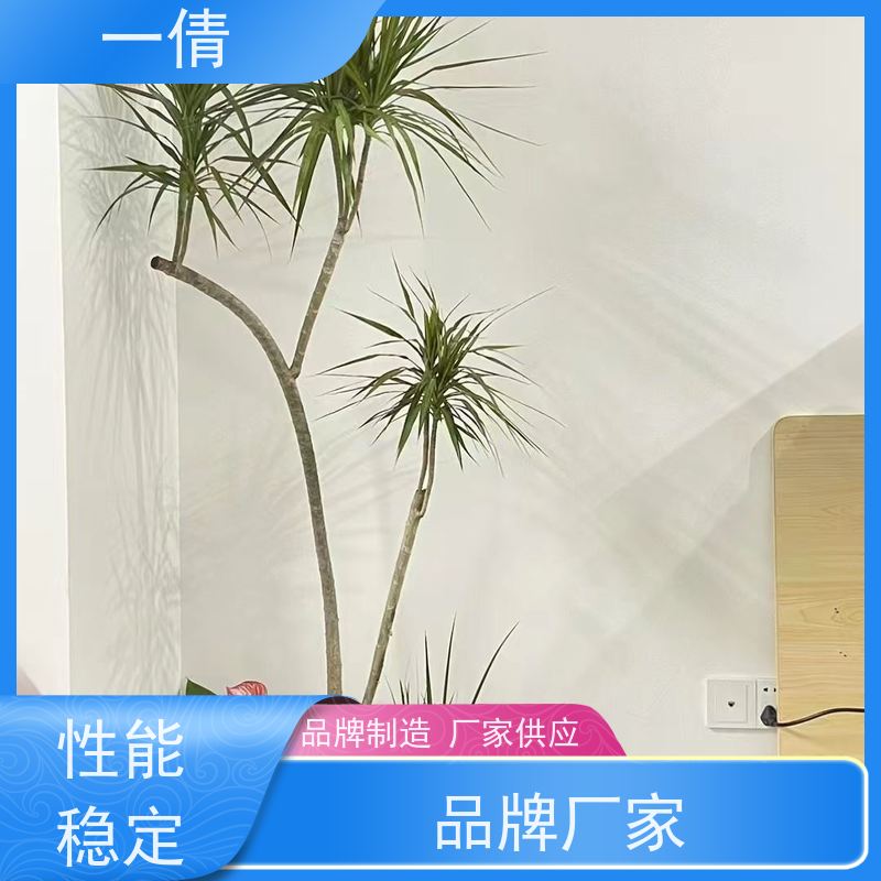 一倩花卉 雅丽 绿植租赁出售 种类繁多 规格齐全