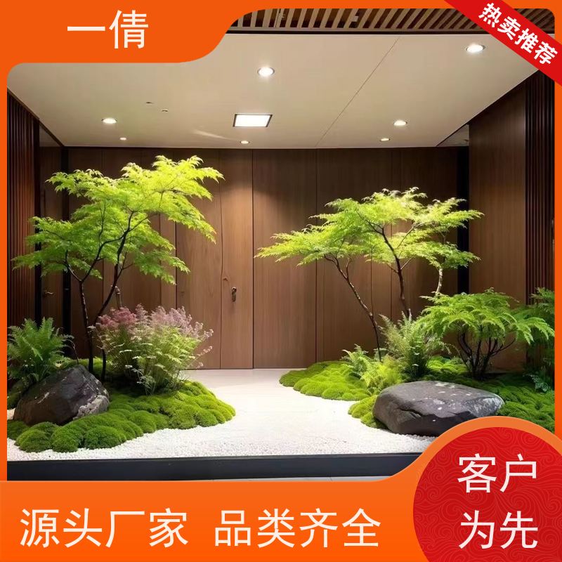 一倩花卉 红蝴蝶兰 绿植租赁出售 种类繁多 规格齐全