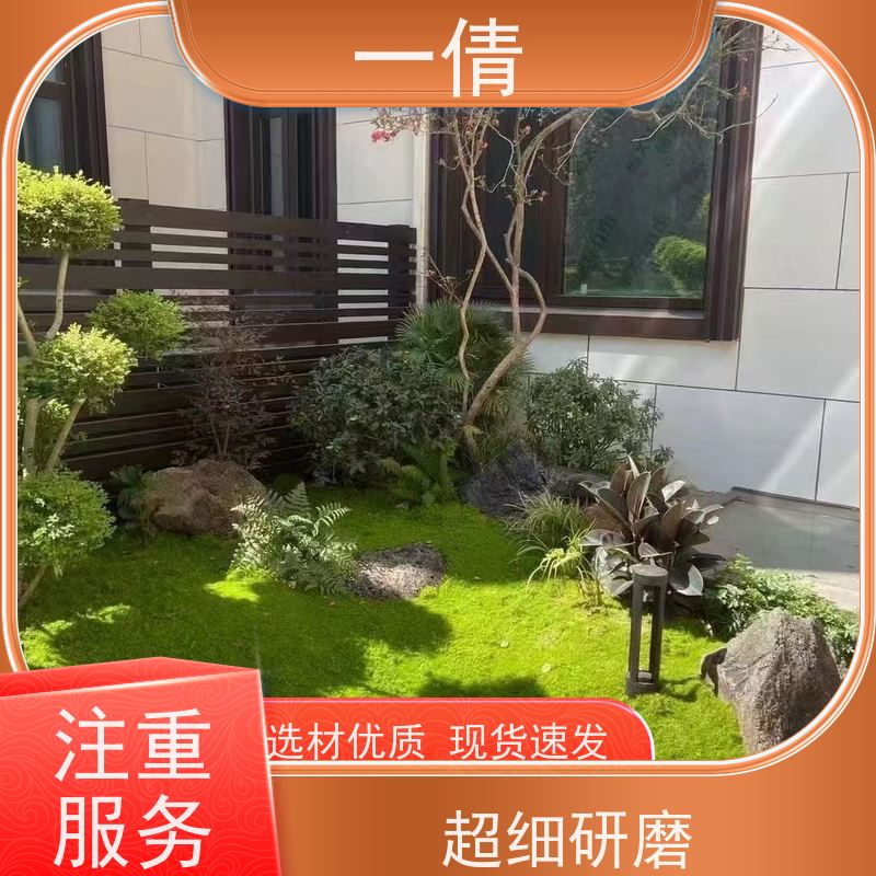 一倩花卉 龙血树 绿植租赁出售 种类繁多 规格齐全