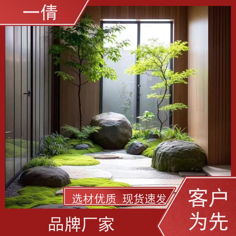 一倩花卉 罗汉松 绿植租赁出售 种类繁多 规格齐全