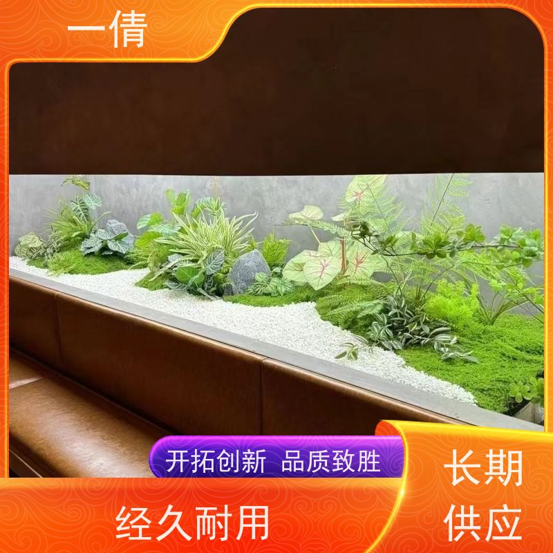 一倩花卉 鹅掌财 绿植租赁出售 种类繁多 规格齐全