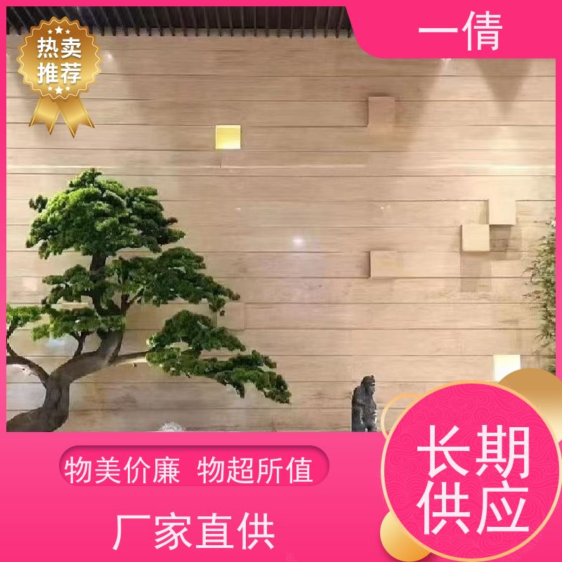 一倩花卉 60盆四季桔 绿植租赁出售 种类繁多 规格齐全