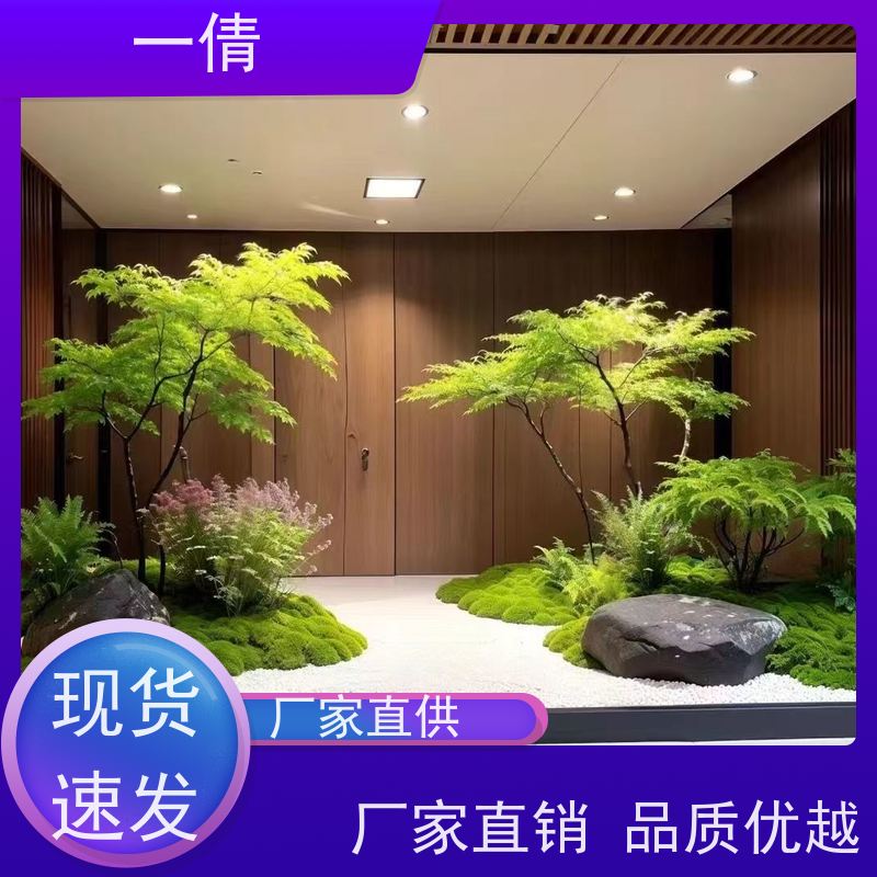一倩花卉 太阳神 绿植租赁出售 种类繁多 规格齐全