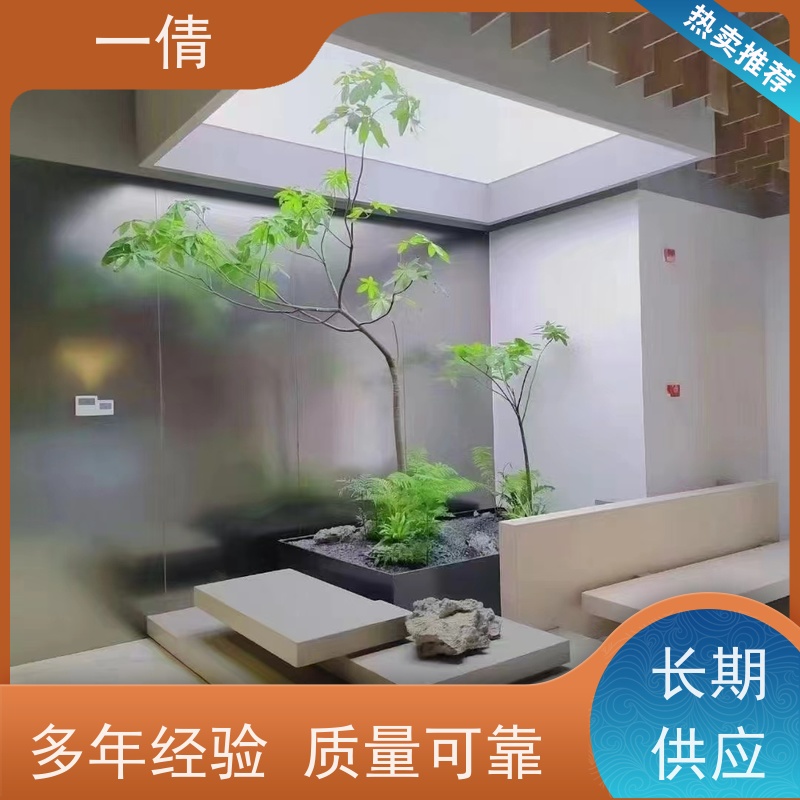 一倩花卉 金钻 绿植租赁出售 种类繁多 规格齐全