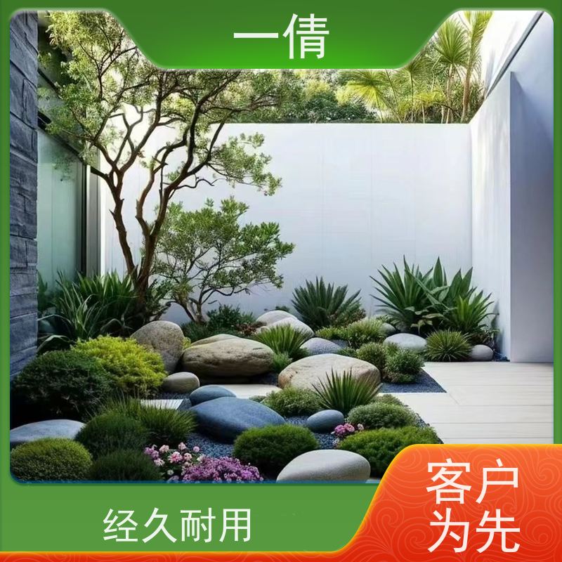 一倩花卉 紫檀 绿植租赁出售 种类繁多 规格齐全