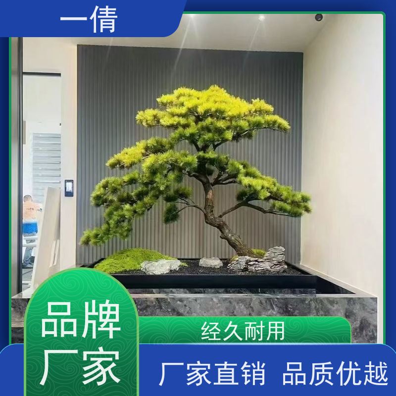 一倩花卉 小慧兰 绿植租赁出售 种类繁多 规格齐全