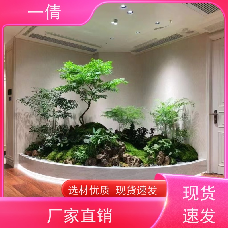 一倩花卉 君子兰 绿植租赁出售 种类繁多 规格齐全