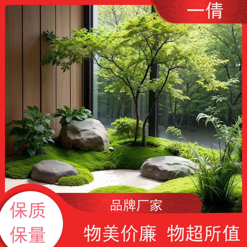 一倩花卉 小罗汉松 绿植租赁出售 种类繁多 规格齐全