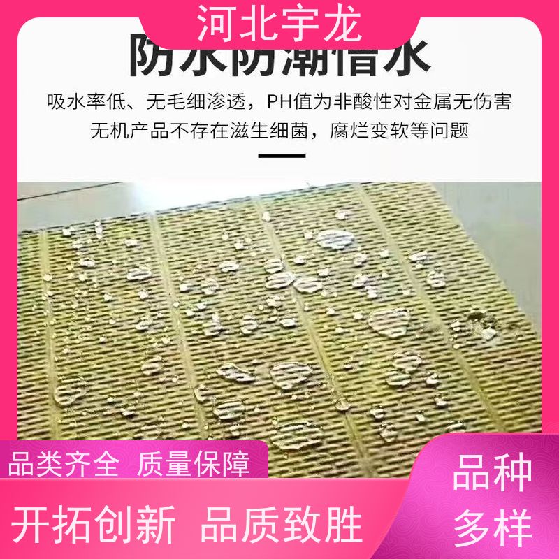 宇龙 隔音屋顶墙体50mm 直发工地 吸水率低 1200*600*50*70kg