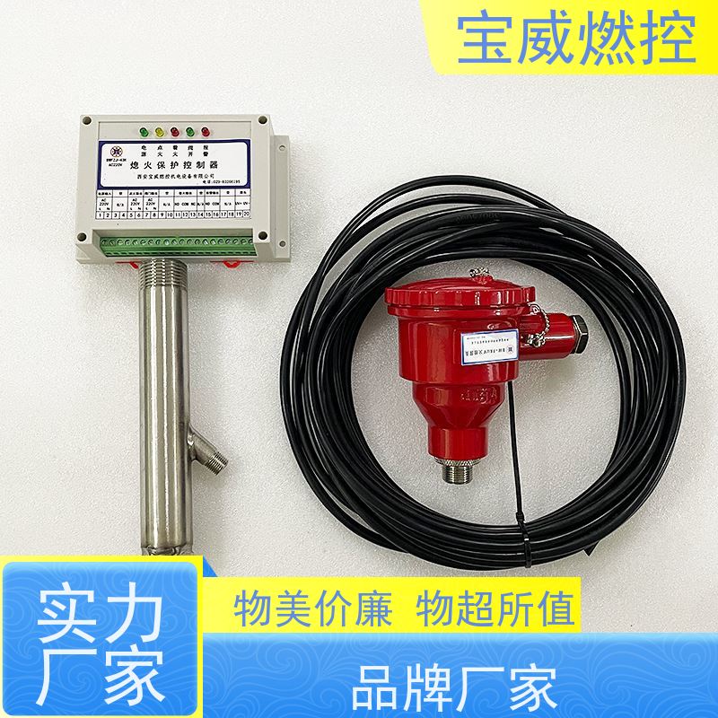 宝威燃控 化工厂熔盐炉锅炉火焰探测器 火焰检测器紫外线型