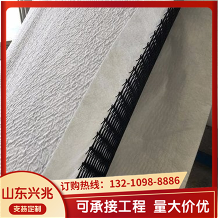 三维复合排水网 路基排水用4mm网芯 垃圾场塑料土工网