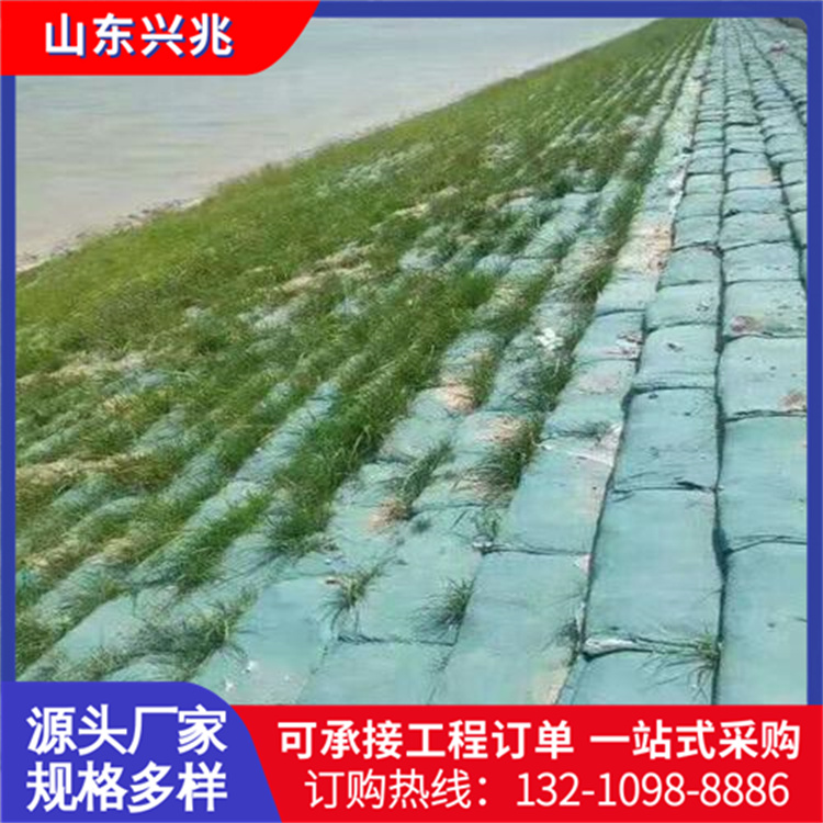 兴兆 河道护坡生态袋 防老化土工袋 高速公路坡道山体绿化防汛