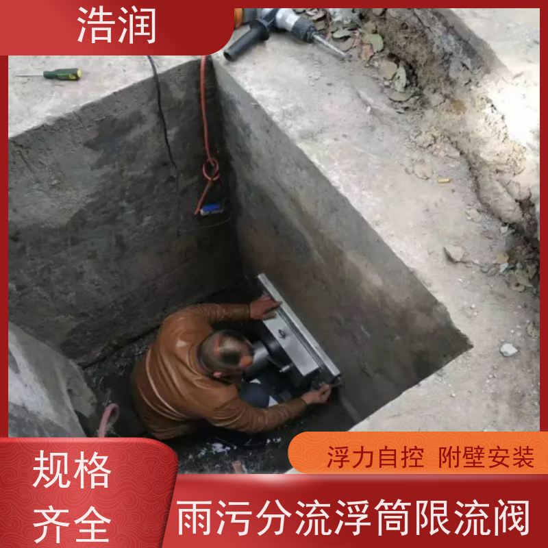 浩润 智能雨污分流浮筒限流阀 浮力自控 诚信经营