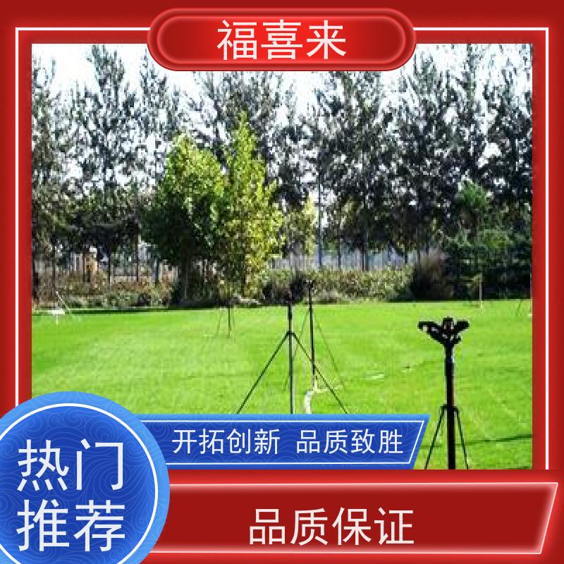 福喜来苗圃 马尼拉草皮直供 球场用草 耐旱易打理 工程草坪